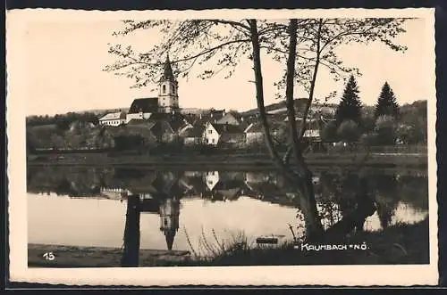 AK Krumbach /N.-Ö., Ortsansicht mit Uferpartie