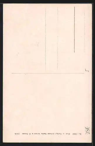 AK Krems /Donau, Totalansicht, Rehberg, Senftenberg u. Hohenstein