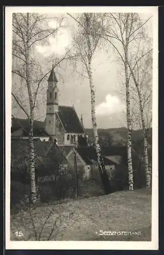 AK Seebenstein /N. Ö., Kirche im Ortsbild