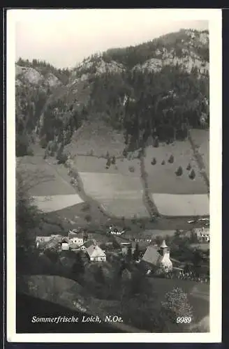 AK Loich /N. Oe., Ortsansicht aus der Vogelschau