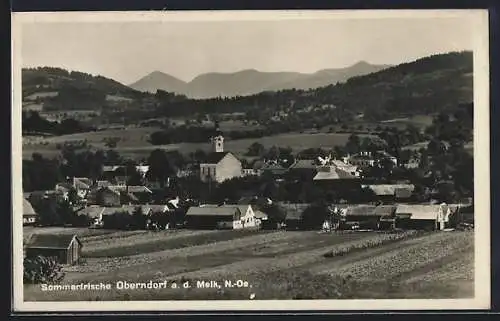 AK Oberndorf a. d. Melk, Ortspanorama