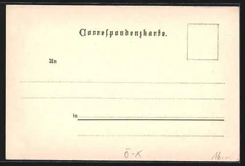 Lithographie Hallstatt, Gasthof z. goldenen Schiff in Steeg, Ortsansicht, Ortsansicht Goisern, Ferien-Hort