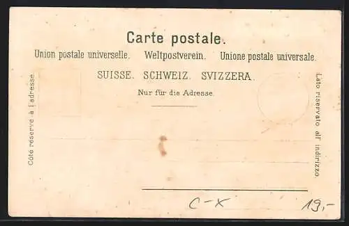 Lithographie Herisau, Krankenhaus, Poststrasse, Heinrichsbad, Gesamtansicht