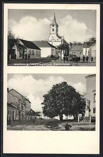 AK Weiden a. Neusiedlersee, Blick zur Kirche, Strassenpartie mit Kriegerdenkmal und Kastanienbaum