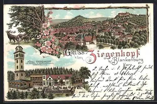 Lithographie Blankenburg / Harz, Ortsansicht von oben, Hotel Ziegenkopf, Rehe