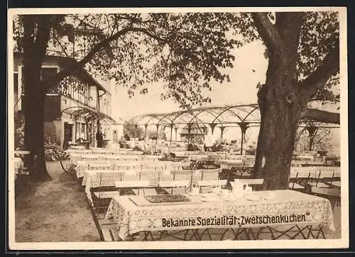 AK Frankfurt-Bergen-Enkheim, Cafe und Restaurant Zur schönen Aussicht, Gartenansicht