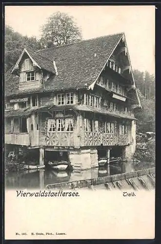 AK Treib, Wirtschaft am Vierwaldstättersee, Boote