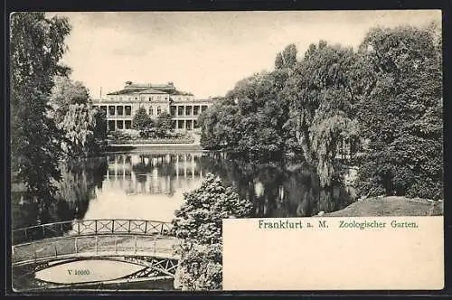 AK Frankfurt a. M., Zoologischer Garten, Teich mit Brücke u. Gebäude