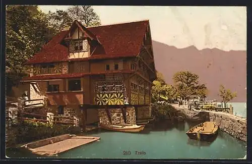 AK Seelisberg, Gasthaus zur Treib am Vierwaldstättersee