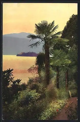 AK Photochromie Serie 190 Nr. 3257: Lago Maggiore, Pallanza