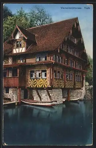 AK Seelisberg, Gasthaus zur Treib am Vierwaldstättersee