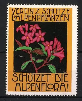 Reklamemarke Verein z. Schutze d. Alpenpflanzen, Alpenflora / Alpenblume