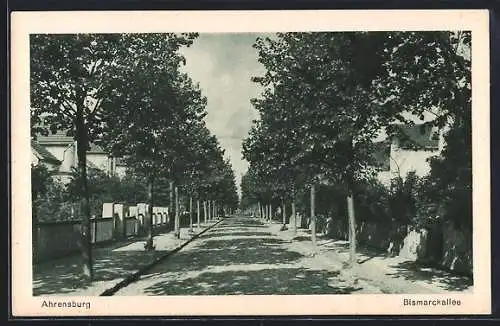 AK Ahrensburg / Holstein, Blick in die Strasse Bismarckallee