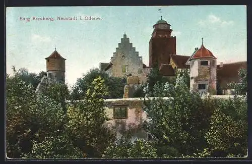 AK Neustadt im Odenwald, Blick auf Burg Breuberg