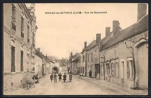 AK Sceaux-du-Gatinais, Rue de Beaumond