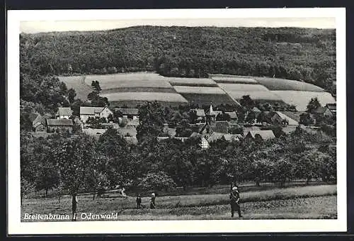 AK Breitenbrunn i. Odenwald, Teilansicht