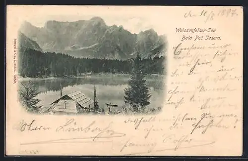 AK Tarvis, Weissenfelser-See / Bela Pec Jesera, Blick von der Sommerwirtschaft auf den See