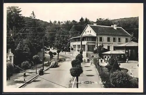 AK Bad Sauerbrunn im Burgenland, Blick auf das Kurhaus