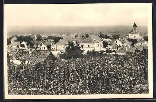 AK Oggau /Burgenland, Ortsansicht vom Berg aus