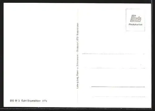 AK Niederkirchen / Kaiserslautern, Protestantische Kirche, Krieger-Denkmal, Schule