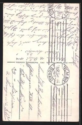 AK Ulm / Donau, Münster und Spatz