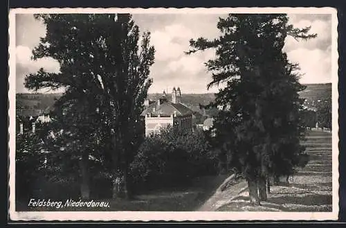 AK Feldsberg /Niederdonau, Strassenpartie mit Tannen