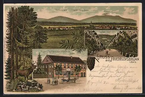 Lithographie Friedrichsbrunn, Gasthaus zum schwarzen Adler, Panorama, Kaltes Thal