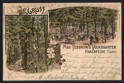 Lithographie Berlin-Hakenfelde, Max Tessnow's Volksgarten, Gartenansicht, Wald-Allee