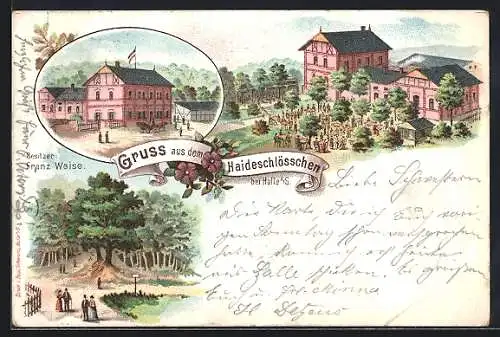 Lithographie Halle /Saale, Gasthaus Haideschlösschen von Franz Weise