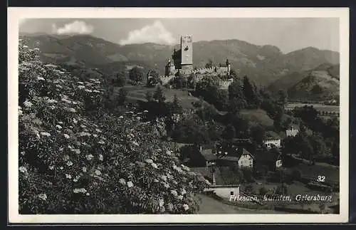 AK Friesach /Kärnten, Blick zur Geiersburg