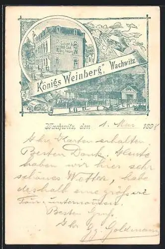 Lithographie Dresden-Wachwitz, König Weinberg Gasthaus Concert&Ballsaal