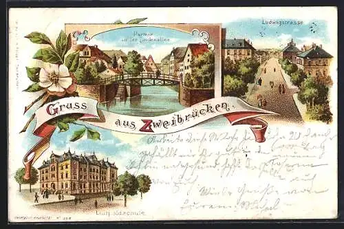 Lithographie Zweibrücken, Ludwigstrasse, Partie an der Lindenallee und Luitpoldschule