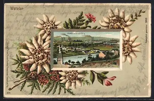 Passepartout-Lithographie Wetzlar, Ansicht vom Hauserberg in einem Rahmen mit Edelweiss