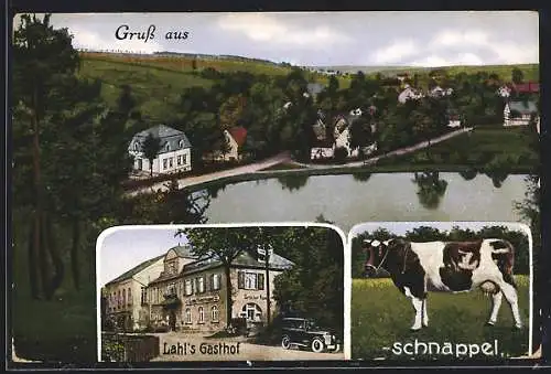 AK Tirschheim-Kuhschnappel /Hohenstein-Ernstthal, Gasthof Kuhschnappel W. Lahl mit Strasse, Ortsansicht von oben, Kuh