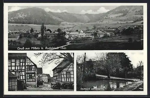 AK Milbitz / Thür. Wald, Dorfstrasse, Dorfteich mit Eibe, Gesamtansicht mit Bergpanorama