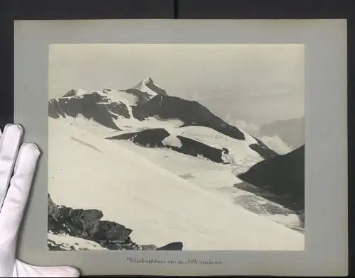 Fotografie unbekannter Fotograf, Ansicht Wiesbachhorn, Blick nach dem Gletscher von der Adlersruhe aus gesehen