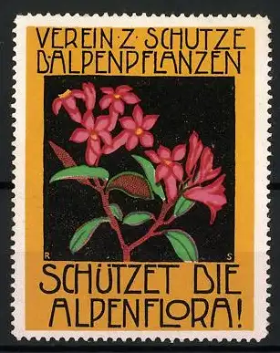 Reklamemarke Verein z. Schutze d. Alpenpflanzen, Alpenflora, Alpenblume