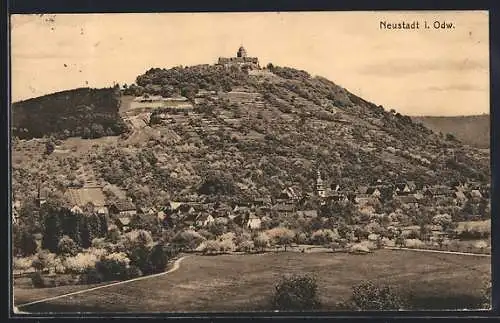 AK Neustadt i. Odw., Gesamtansicht mit Burg