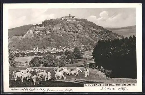 AK Neustadt i. Odenw., Ortsansicht mit Ziegenherde und Breuberg