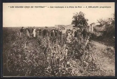 AK Vouvray, Les vendanges à la Pièce du Puit