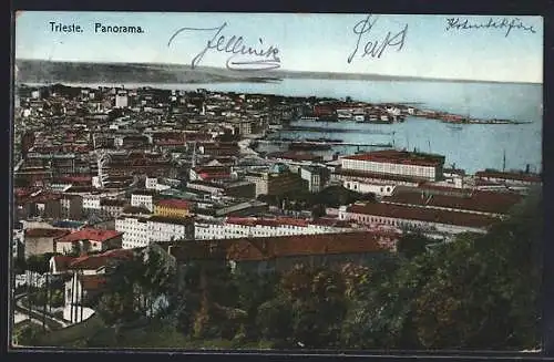 AK Trieste, Panorama der Ortschaft