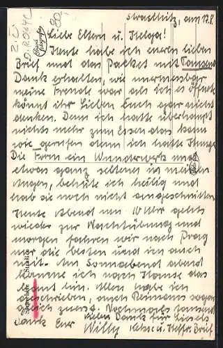 AK Strasice v Brdech, Panorama