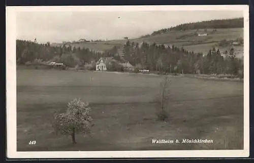 AK Waldheim b. Mönichkirchen, Ortsansicht mit Wiesen