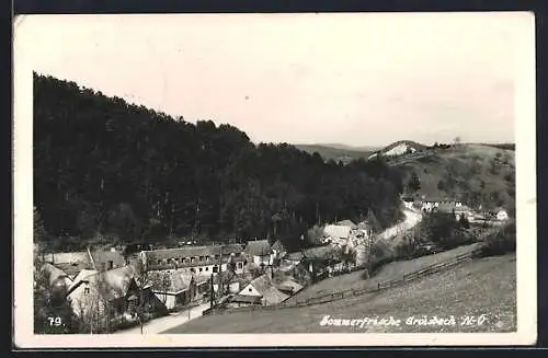 AK Groisbach, Ortsansicht mit Bergblick aus der Vogelschau