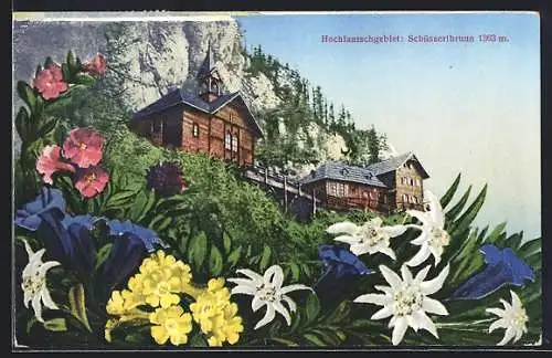 AK Breitenau am Hochlantsch, Schüsserlbrunn, Edelweiss, Enzian