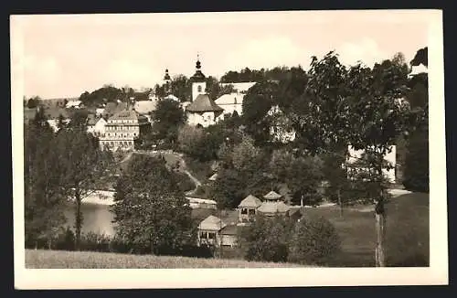 AK Rokitnitz / Rokytnice v Orlickych Horach, Celkový pohled