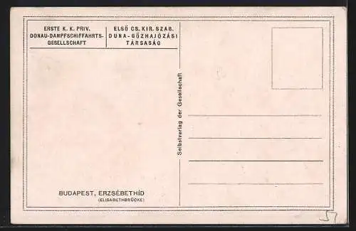 Künstler-AK Rudolf Schmidt: Budapest, Erzsébethíd, Elisabethbrücke, Dampfer