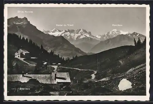 AK Bretaye, Panorama, Glacier du Trient, Mont Blanc et Dts de Morcles