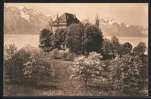 AK Montreux, Château du Châtelard, Grammont et Dent d`Oche