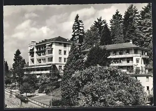 AK Weggis /Vierwaldstättersee, Hotel Albana